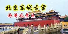 大奶子美女被后入到高潮网站中国北京-东城古宫旅游风景区